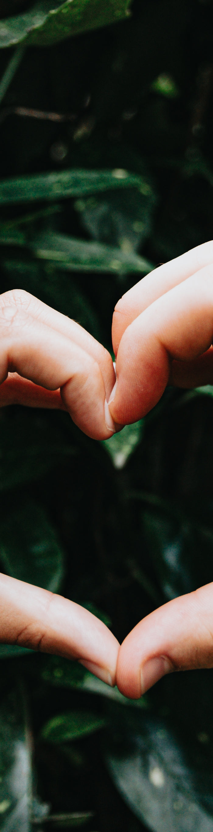 <h2>‘‘Produsele comandate sunt de calitate. Asistența pentru clienți este foarte utilă și răspunde în câteva ore’’</h2><h4>⭐⭐⭐⭐⭐<br/></h4><h5>Andrei</h5><p>Aug 2, 2025<br/></p>