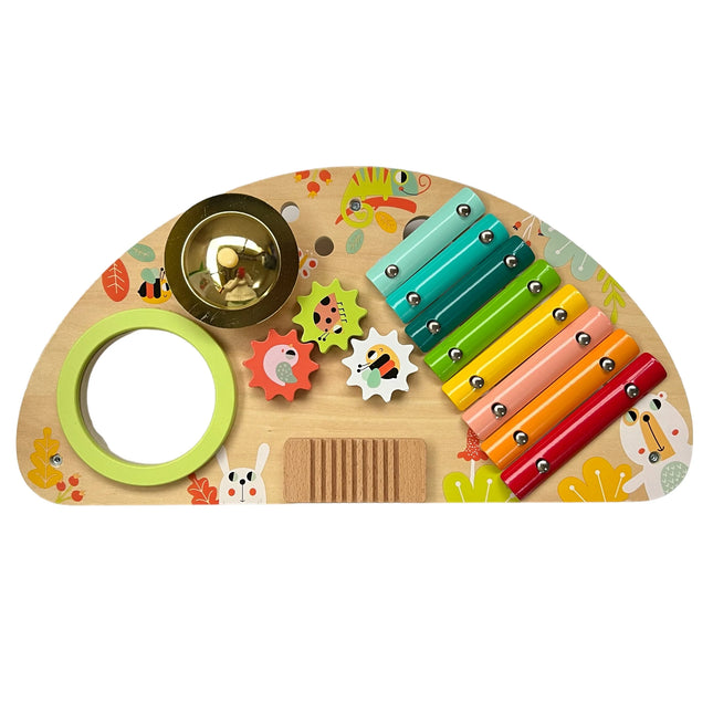 Set muzical multifunctional TOOKY TOY